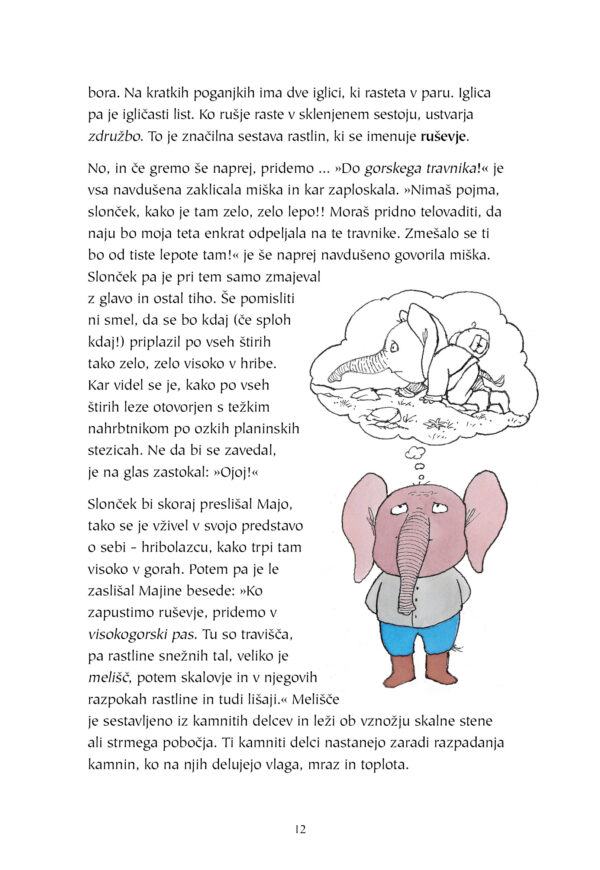 Miška in slonček v muzeju obiščeta gorski svet - Image 2