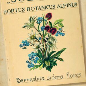 Osebna znamka, maksimum karta in poštni žig ob 100-letnici Alpskega botaničnega vrta Juliana