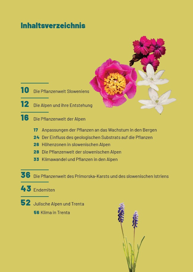 Botanischer Alpengarten Juliana - Image 3