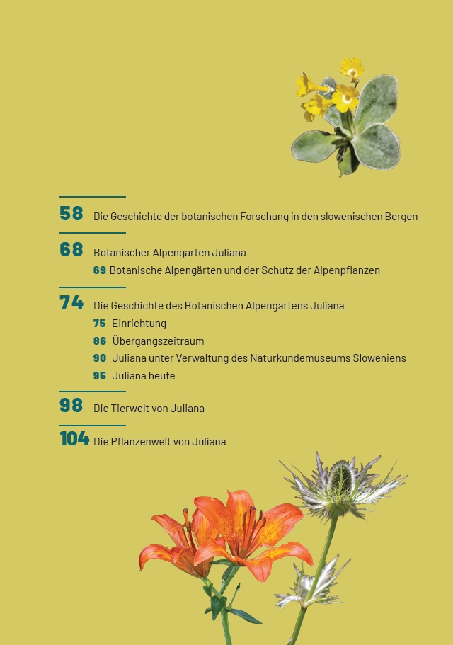 Botanischer Alpengarten Juliana - Image 2
