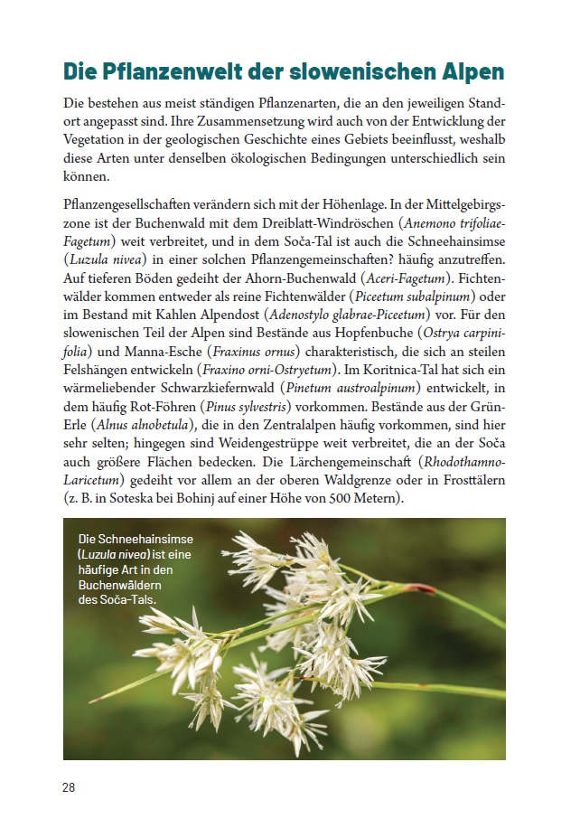 Botanischer Alpengarten Juliana - Image 5